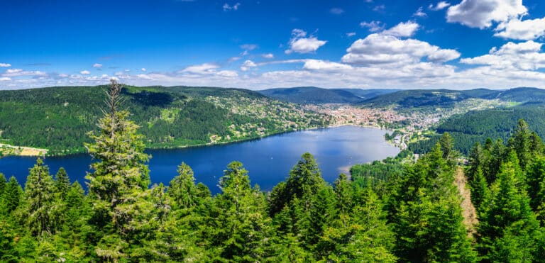 Création de site web dans les Vosges